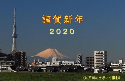 2020 年賀富士.jpg