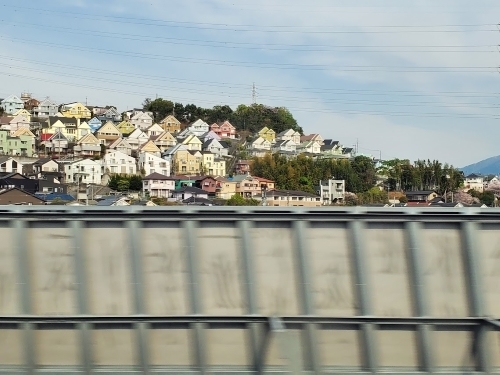 20230405_082441.jpg