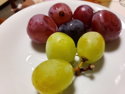 20230906_154914.jpg