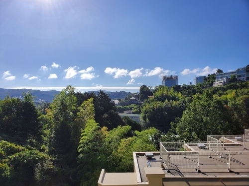 20230913_081841.jpg