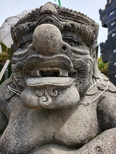 法人税は払わない.jpg
